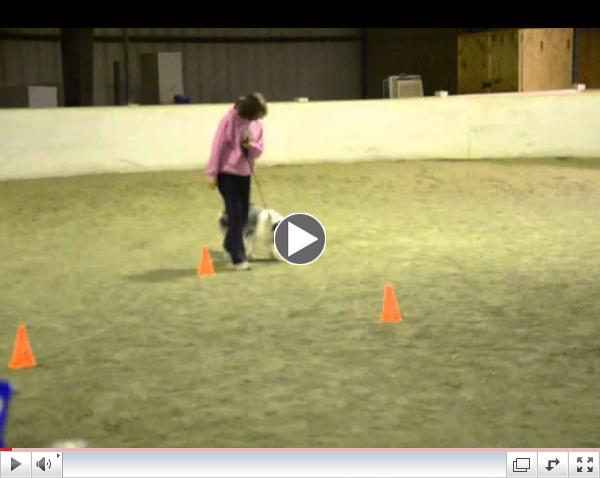 Cody CGC Exam