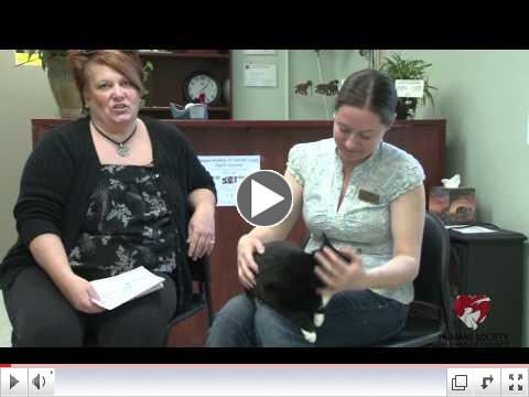 Charles County Maryland Humane Society Animal Adoption Video for May 2011