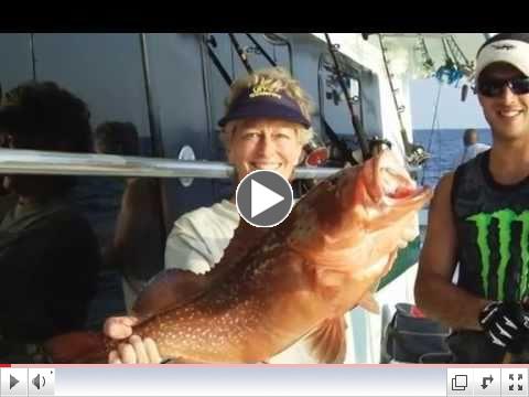 Tarpon Springs Deep Sea Fishing