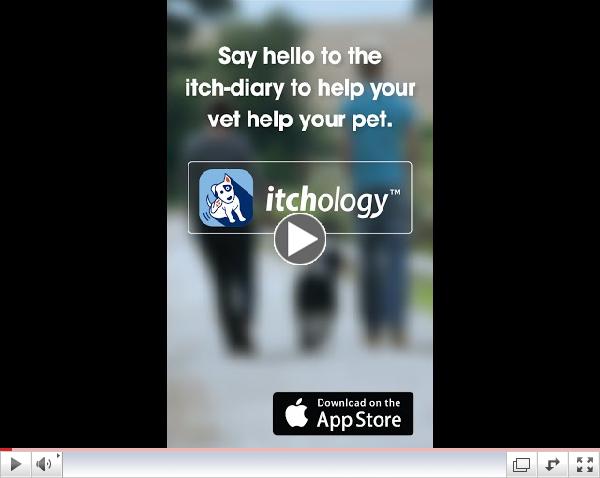 Itchology for iPhone Features